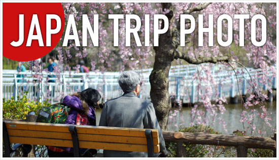 Japan Trip Photo