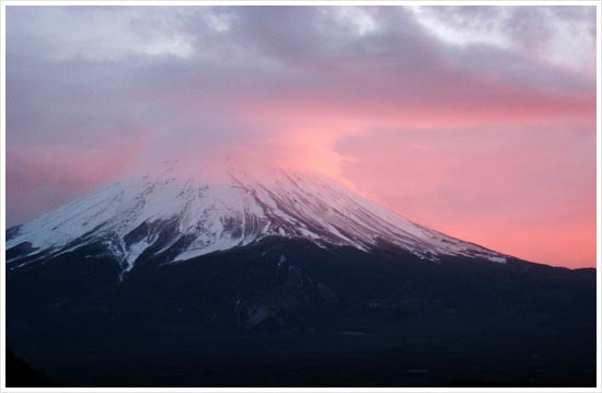 あけましておめでとうございます_Mount. Fuji in rose pink | Midorisyu