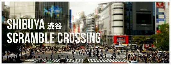 The many photos of Shibuya Scramble Crossing